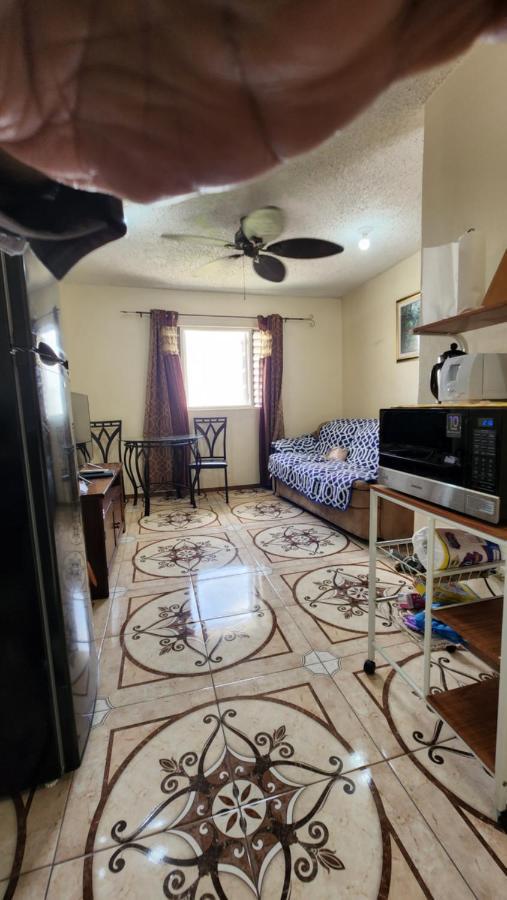 Oaklands Oasis Apartment Kingston Exterior photo